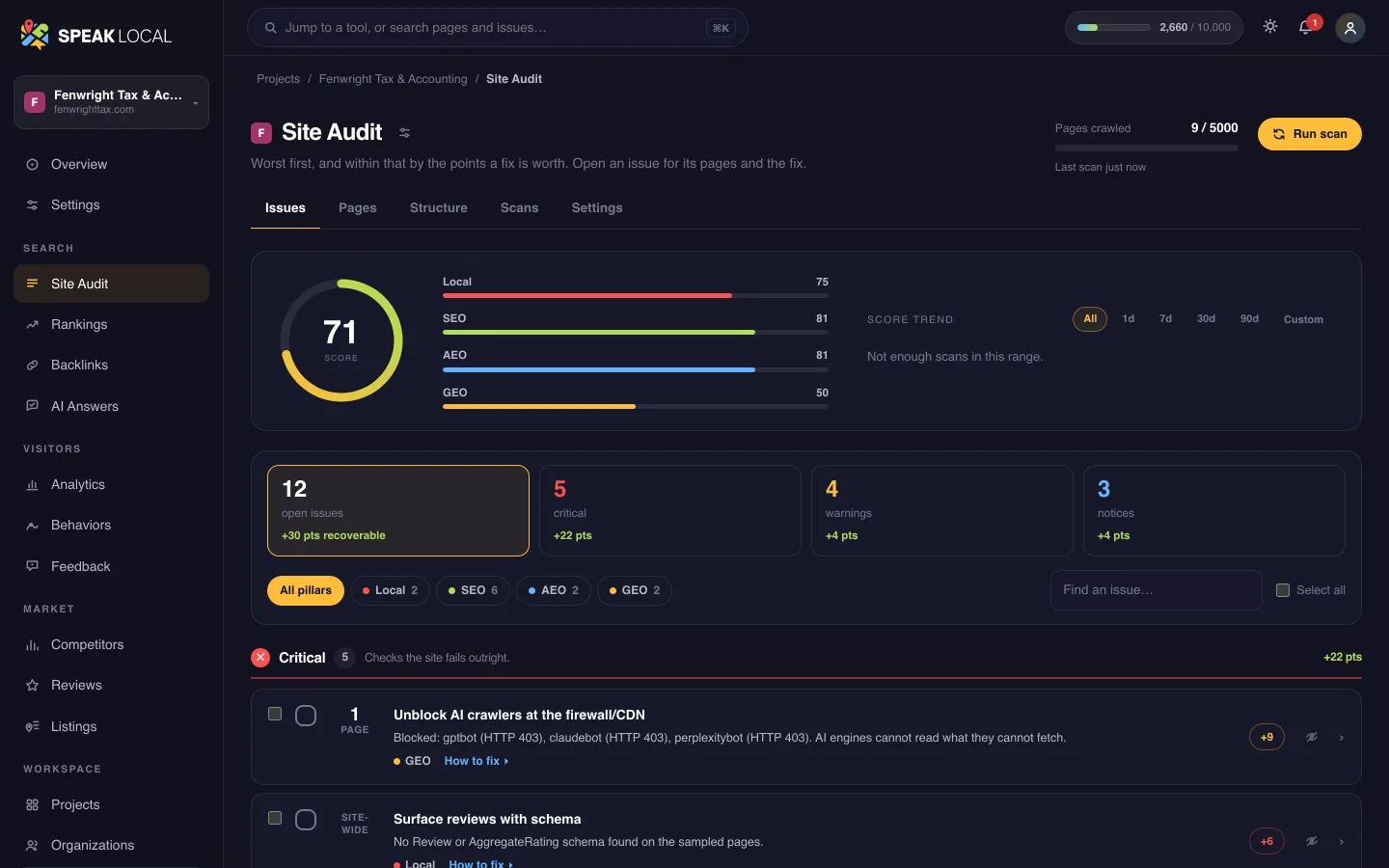 The Site Audit screen in Speak Local, for an example tax and accounting firm