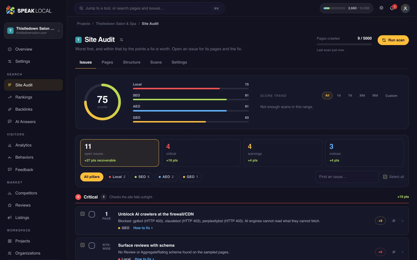 The Site Audit screen in Speak Local, for an example hair salon and day spa