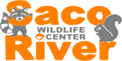 Saco River Wildlife Foundation logo

