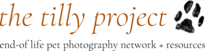 The Tilly Project logo